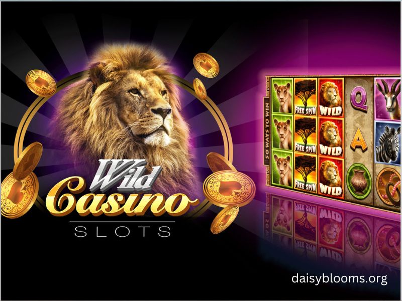 Wild Casino