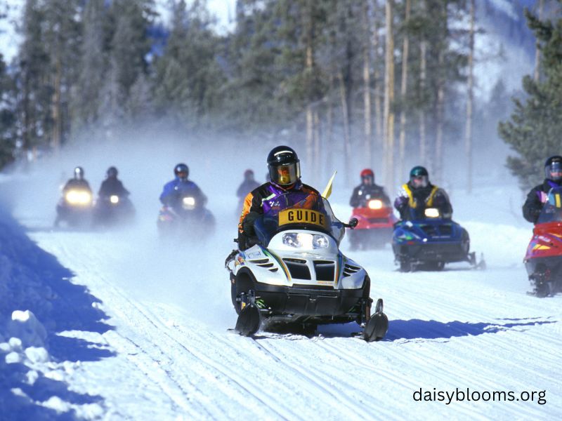 january 2008 snowmobile accident